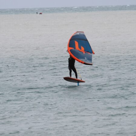 Wing photo
